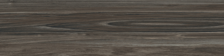 Boutonne Noir Pulido